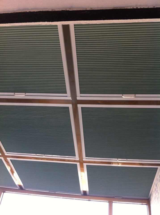 �����䳲������